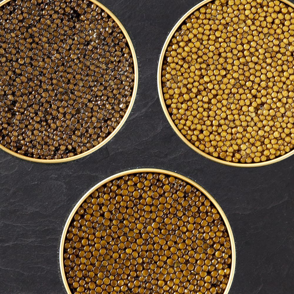 Gourmet set with three types of caviar