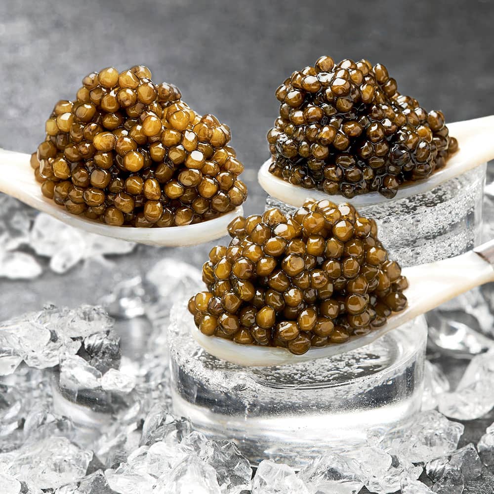 Gourmet set with three types of caviar