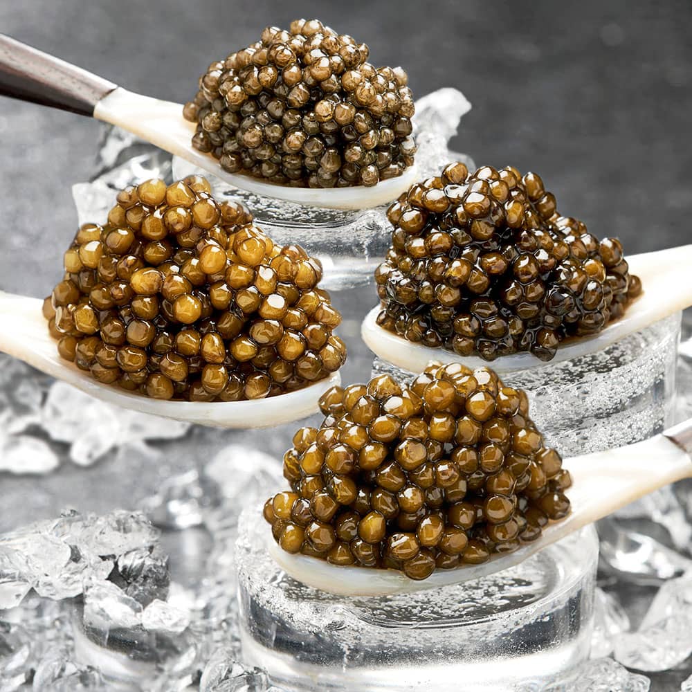 Gourmet set with four types of caviar